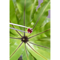 3.34 Ct. Ruby from Mozambique Life Style