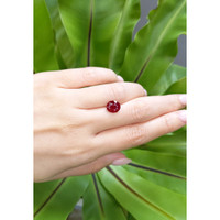 3.03 Ct. Ruby from Mozambique Life Style