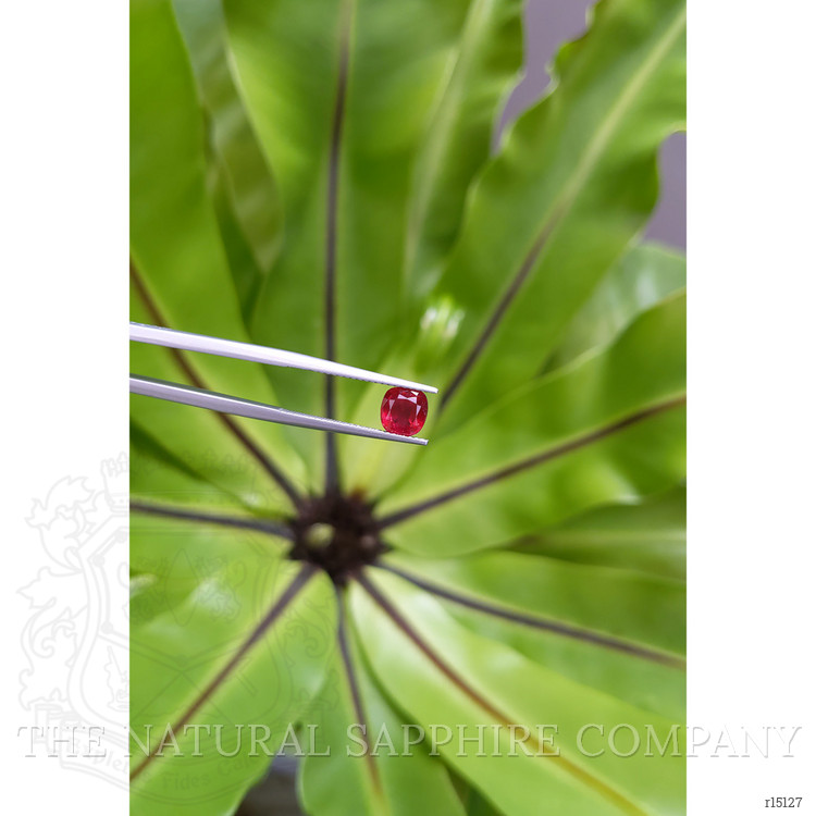 1.60 Ct. Ruby from Mozambique