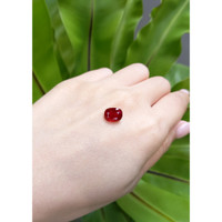 3.56 Ct. Ruby from Mozambique Life Style