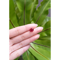 3.65 Ct. Ruby from Mozambique Life Style