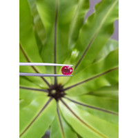 2.06 Ct. Ruby from Mozambique Life Style