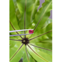 2.07 Ct. Ruby from Mozambique Life Style