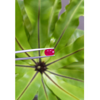 2.97 Ct. Ruby from Mozambique Life Style