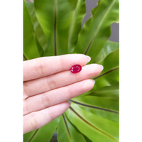 3.18 Ct. Ruby from Mozambique Life Style