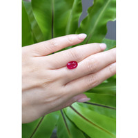 3.18 Ct. Ruby from Mozambique Life Style