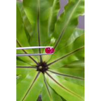 3.13 Ct. Ruby from Mozambique Life Style