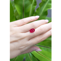 3.13 Ct. Ruby from Mozambique Life Style