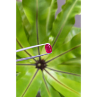 2.29 Ct. Ruby from Mozambique Life Style