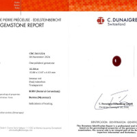 12.30 Ct. Cabochon Ruby from Burma (Myanmar) Scan Report
