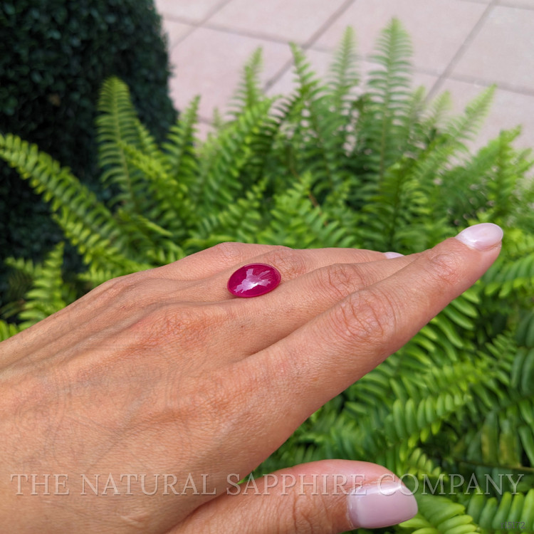 12.30 Ct. Cabochon Ruby from Burma (Myanmar)