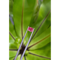 1.25 Ct. Ruby from Thailand Life Style