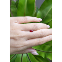 0.73 Ct. Ruby from Thailand Life Style