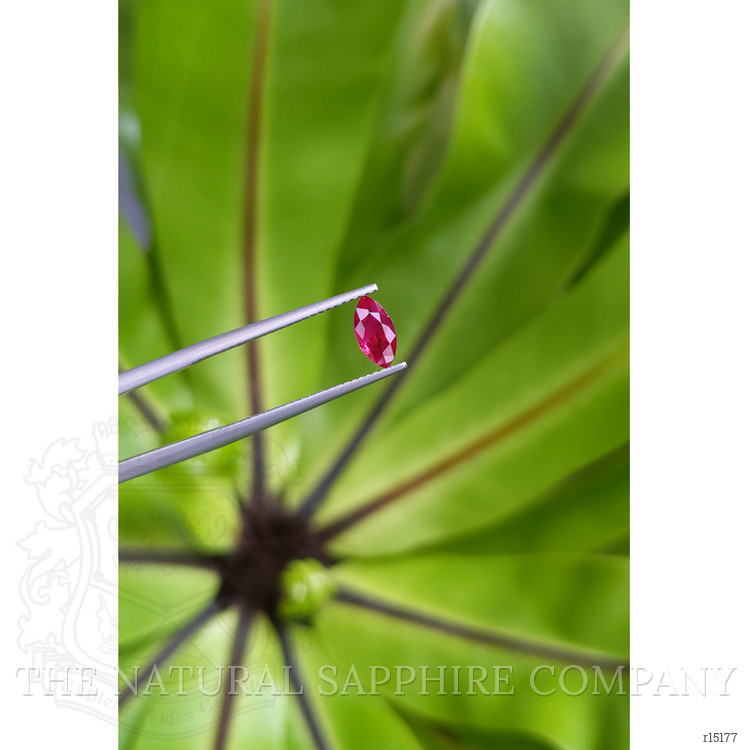0.73 Ct. Ruby from Thailand