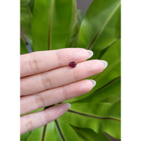 0.71 Ct. Ruby from Thailand Life Style