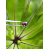 0.71 Ct. Ruby from Thailand Life Style