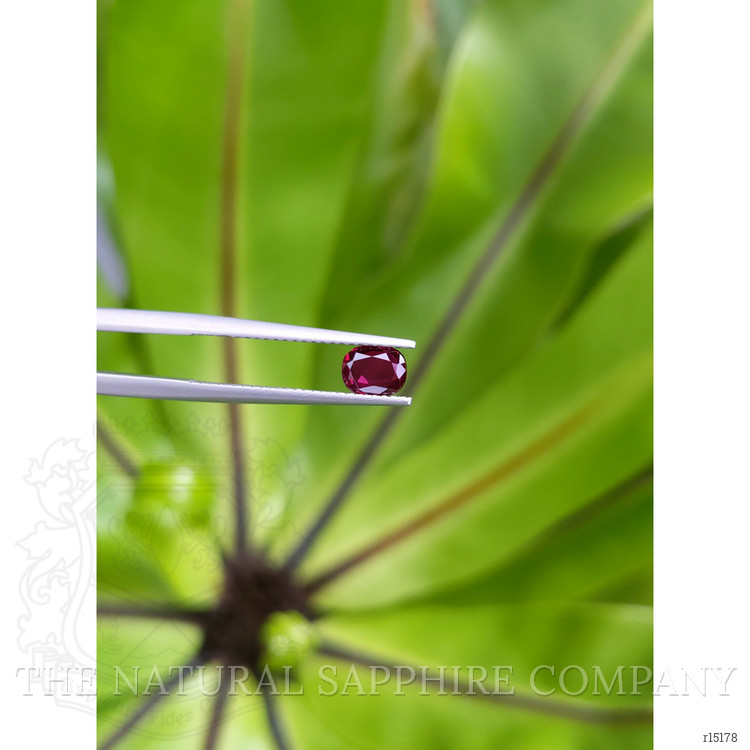 0.71 Ct. Ruby from Thailand