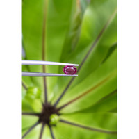 0.93 Ct. Ruby from Thailand Life Style
