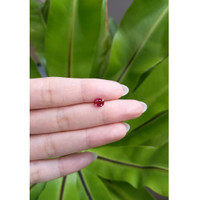0.92 Ct. Ruby from Thailand Life Style