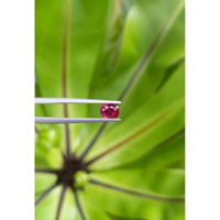 0.92 Ct. Ruby from Thailand Life Style