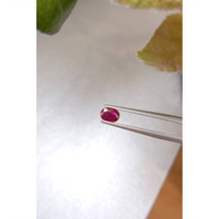 0.63 Ct. Ruby from Burma (Myanmar) Life Style