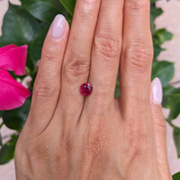 1.15 Ct. Ruby from Mozambique Life Style