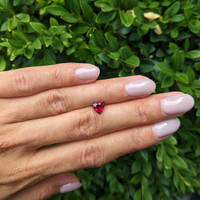 1.22 Ct. Ruby from Mozambique Life Style