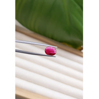 1.41 Ct. Ruby from Thailand Life Style