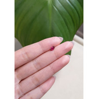 0.50 Ct. Ruby from Thailand Life Style