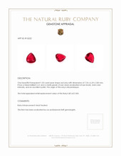 1.03 Ct. Ruby from Mozambique Appraisal