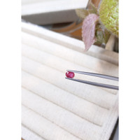 0.64 Ct. Ruby from Tanzania Life Style