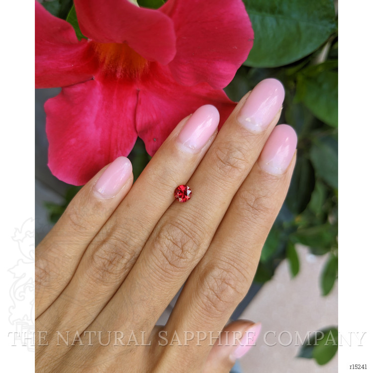 0.58 Ct. Ruby from Mozambique