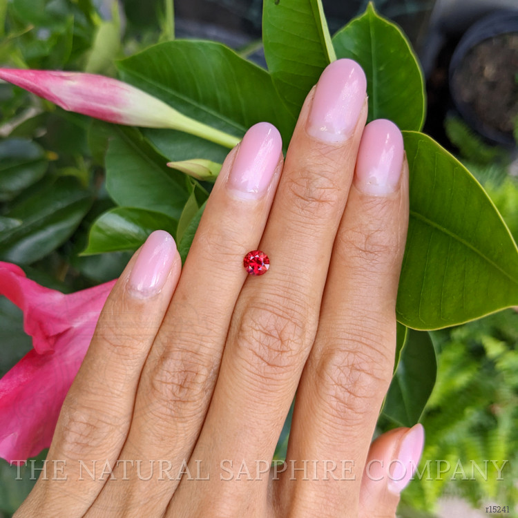 0.58 Ct. Ruby from Mozambique