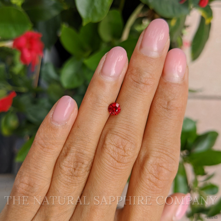 0.67 Ct. Ruby from Mozambique