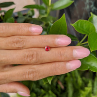 0.52 Ct. Ruby from Mozambique Life Style