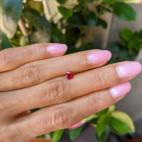 0.48 Ct. Ruby from Mozambique Life Style