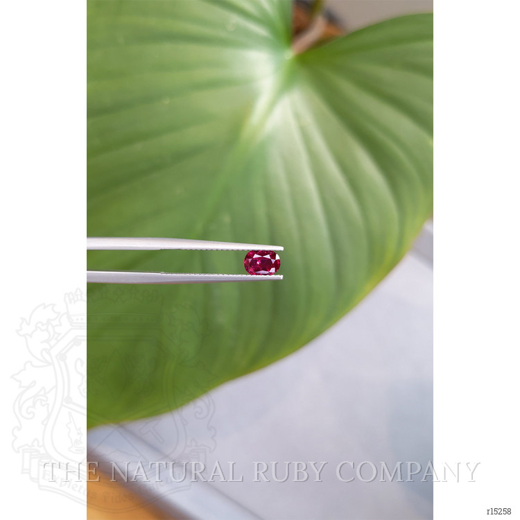 0.75 Ct. Ruby from Thailand