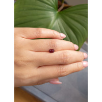 0.66 Ct. Ruby from Thailand Life Style