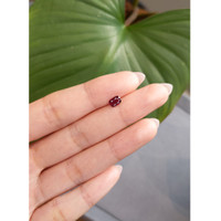 0.66 Ct. Ruby from Thailand Life Style