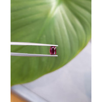 0.66 Ct. Ruby from Thailand Life Style