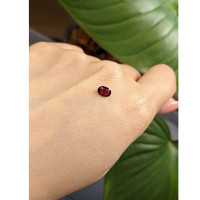 0.65 Ct. Ruby from Thailand Life Style