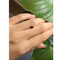 0.65 Ct. Ruby from Thailand Life Style