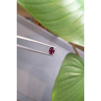 0.65 Ct. Ruby from Thailand Life Style