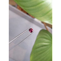 0.55 Ct. Ruby from Thailand Life Style