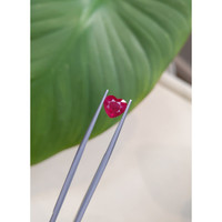 2.36 Ct. Ruby from Mozambique Life Style