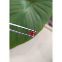 1.50 Ct. Ruby from Mozambique Life Style