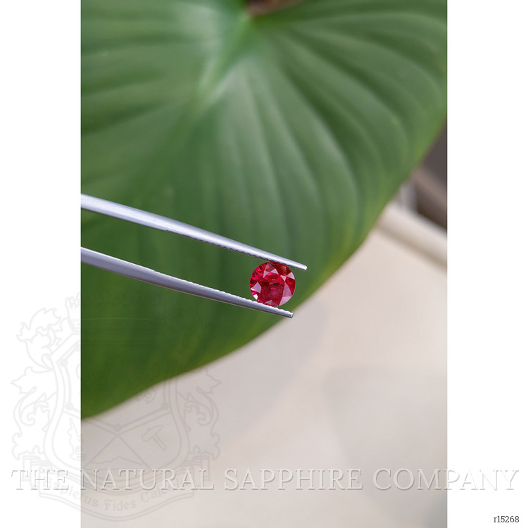 1.50 Ct. Ruby from Mozambique