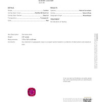Jewelry Scan Report