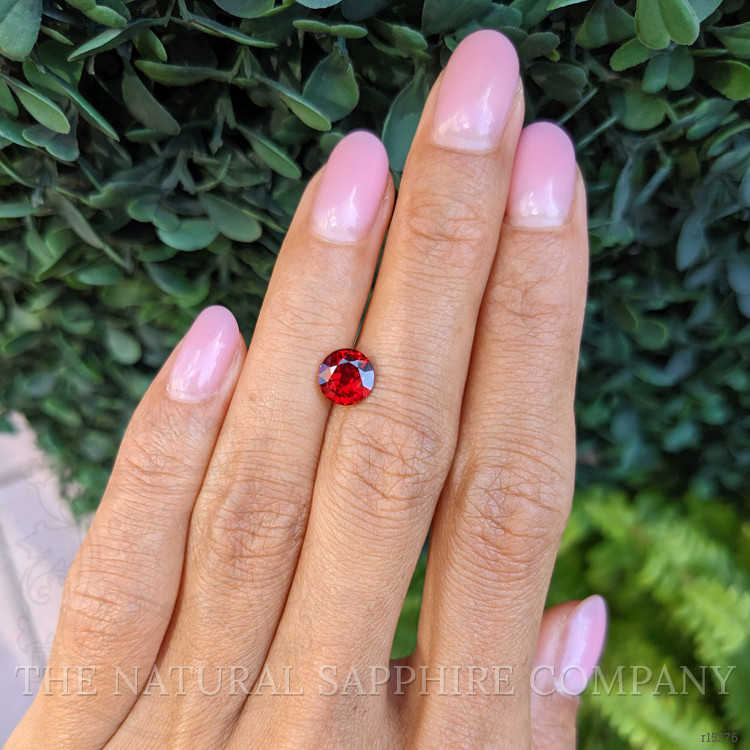 1.64 Ct. Ruby from Mozambique