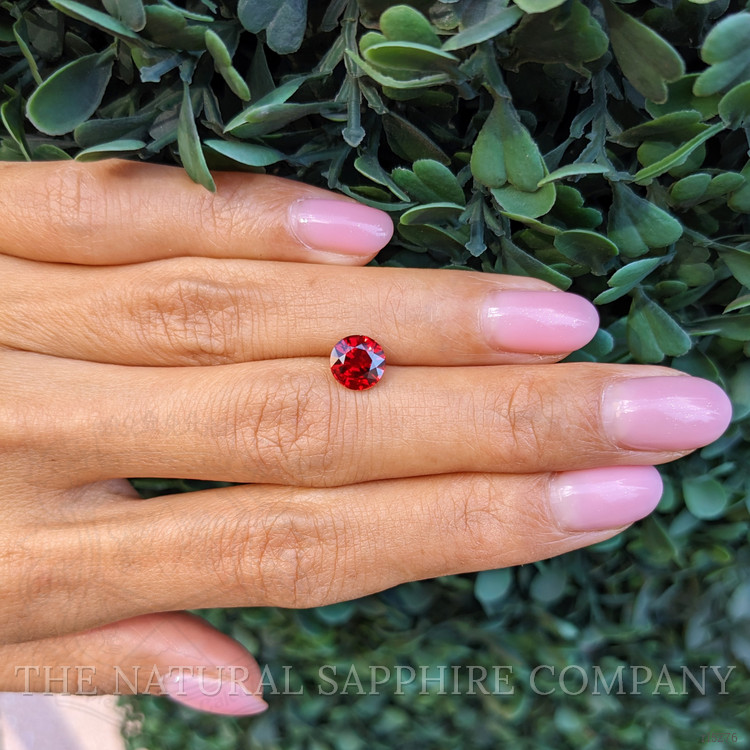 1.64 Ct. Ruby from Mozambique